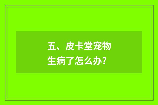 五、皮卡堂宠物生病了怎么办?
