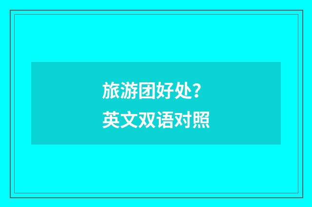 旅游团好处?英文双语对照