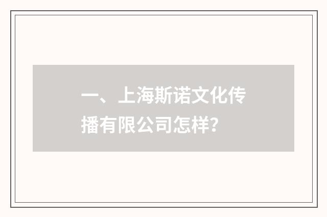 一、上海斯诺文化传播有限公司怎样?
