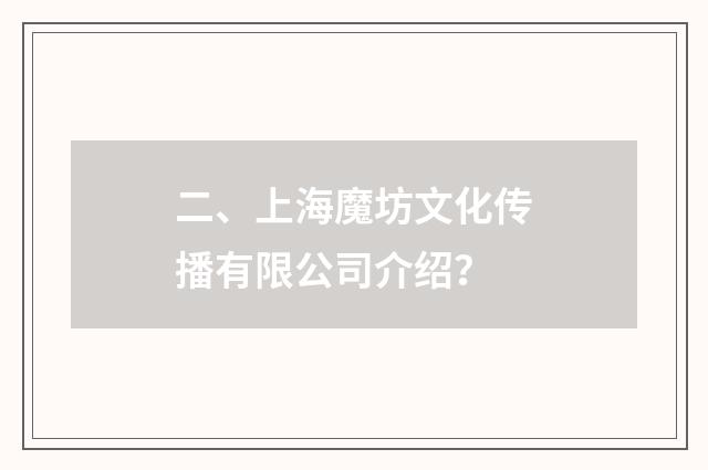 二、上海魔坊文化传播有限公司介绍？
