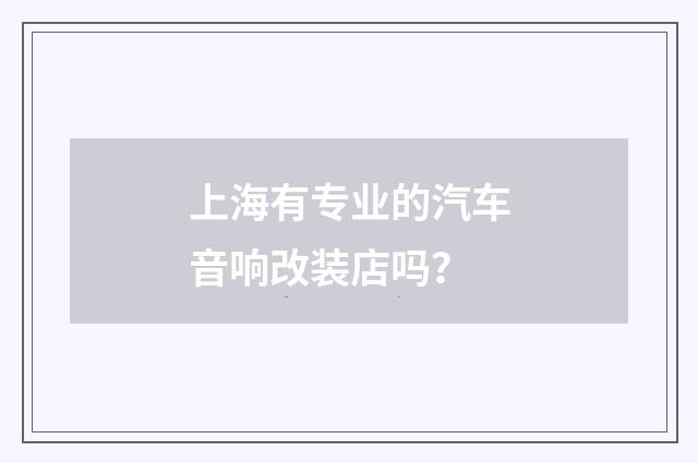 上海有专业的汽车音响改装店吗?