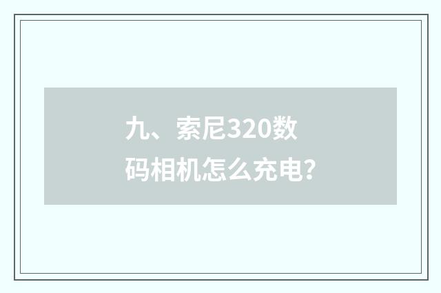 九、索尼320数码相机怎么充电？