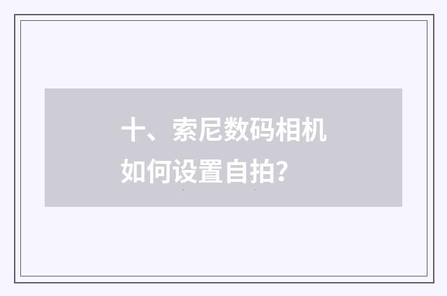 十、索尼数码相机如何设置自拍?
