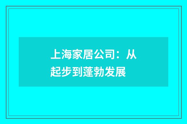 上海家居公司:从起步到蓬勃发展