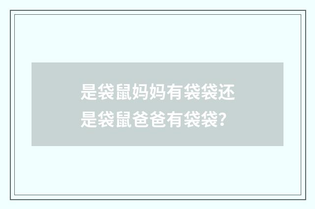 是袋鼠妈妈有袋袋还是袋鼠爸爸有袋袋？