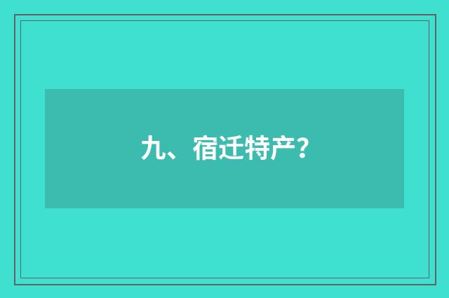 九、宿迁特产?