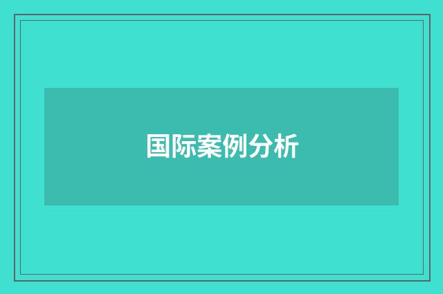 国际案例分析