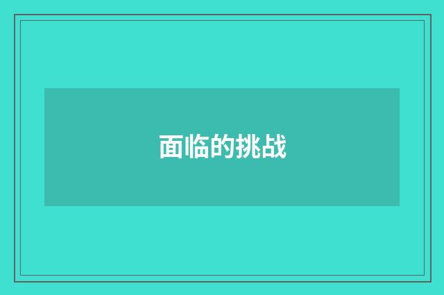 面临的挑战