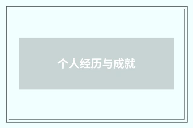 个人经历与成就