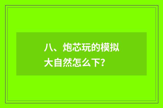 八、炮芯玩的模拟大自然怎么下？