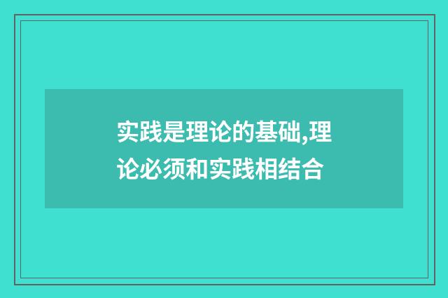 实践是理论的基础,理论必须和实践相结合