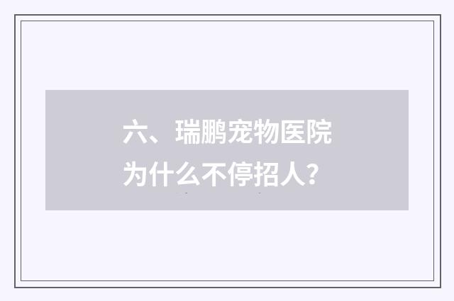 六、瑞鹏宠物医院为什么不停招人？