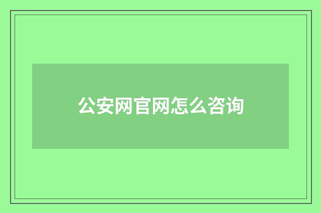 公安网官网怎么咨询