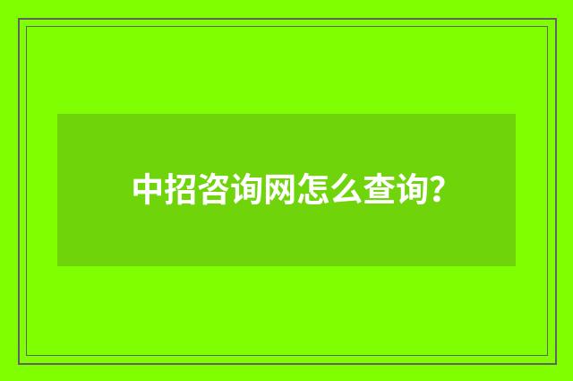中招咨询网怎么查询？