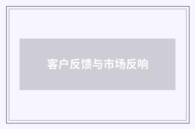 客户反馈与市场反响