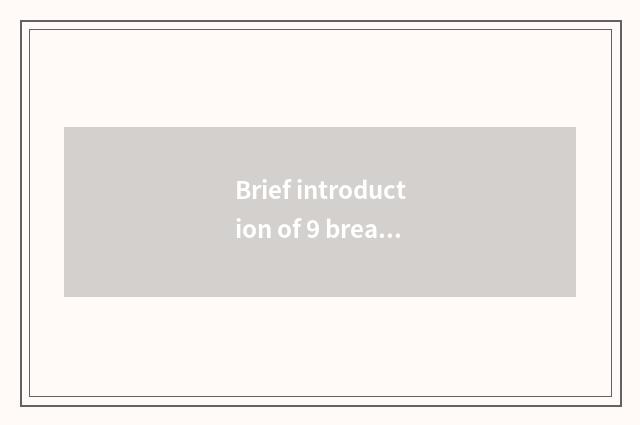 Brief introduction of 9 breath recreation