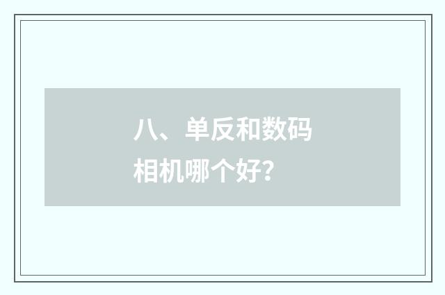八、单反和数码相机哪个好?