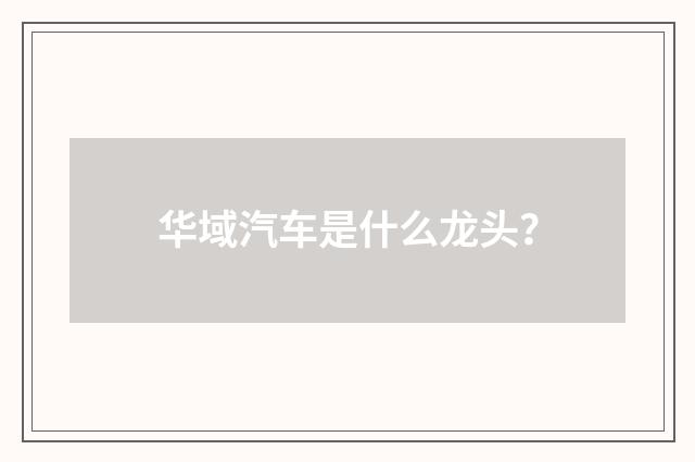 华域汽车是什么龙头？