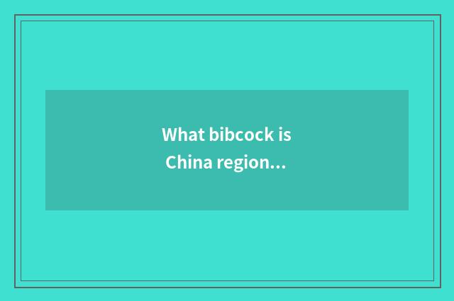 What bibcock is China region car?