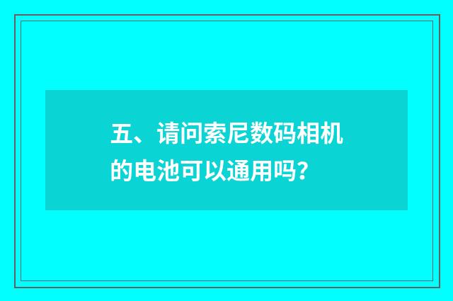 五、请问索尼数码相机的电池可以通用吗？