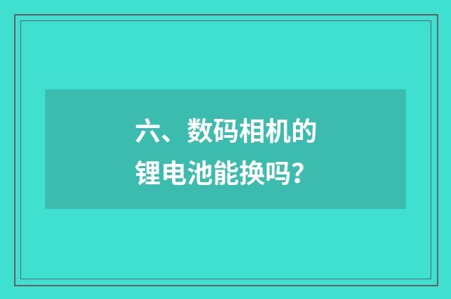 六、数码相机的锂电池能换吗?