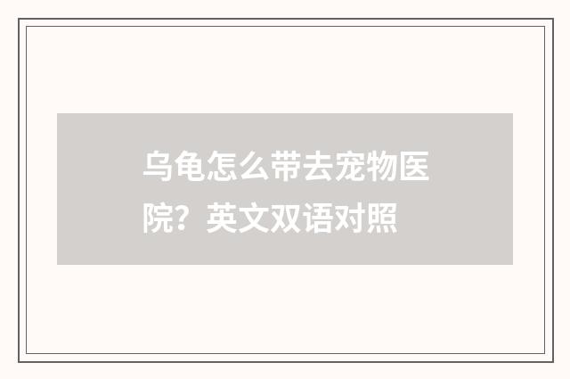乌龟怎么带去宠物医院?英文双语对照