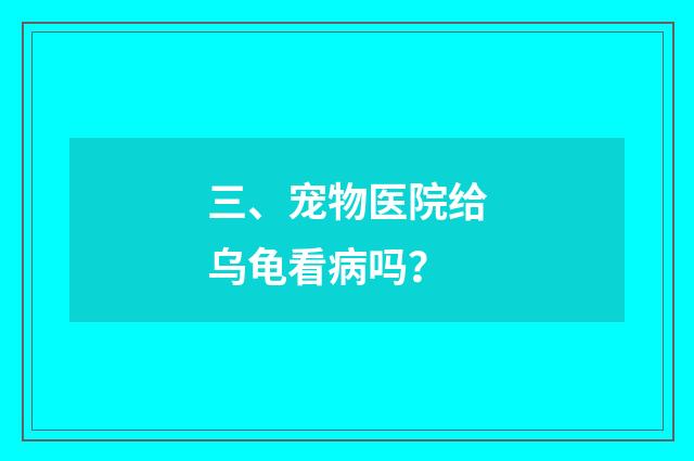 三、宠物医院给乌龟看病吗?
