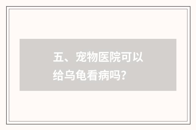 五、宠物医院可以给乌龟看病吗?