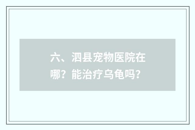 六、泗县宠物医院在哪?能治疗乌龟吗?