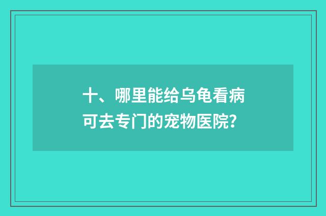 十、哪里能给乌龟看病可去专门的宠物医院?