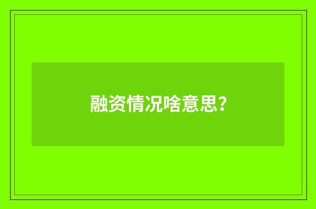 融资情况啥意思？