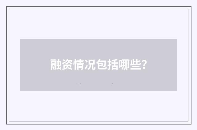 融资情况包括哪些?