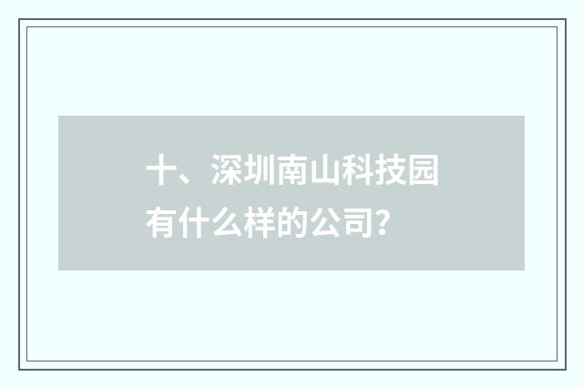 十、深圳南山科技园有什么样的公司？