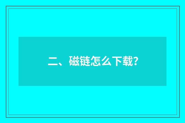 二、磁链怎么下载?