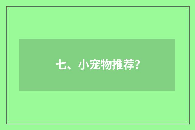 七、小宠物推荐？