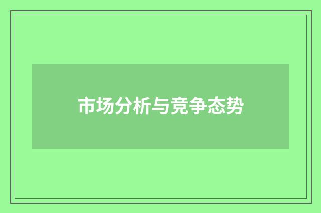 市场分析与竞争态势