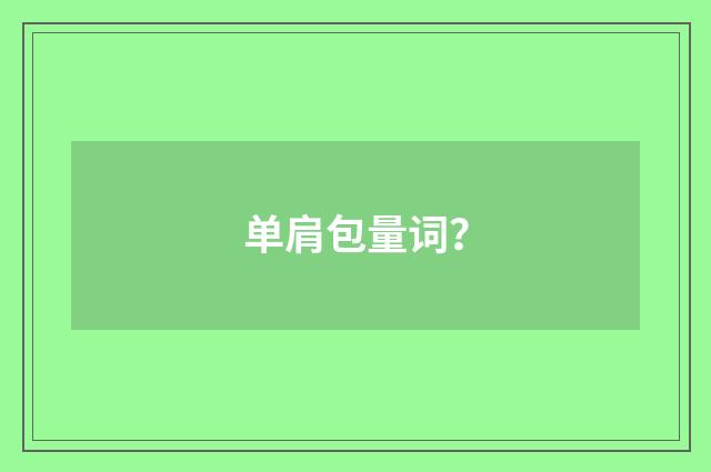 单肩包量词?