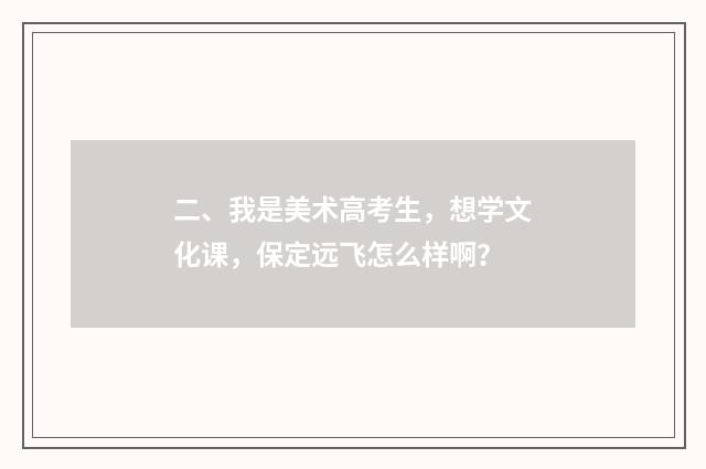 二、我是美术高考生，想学文化课，保定远飞怎么样啊？