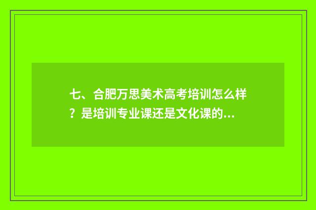 七、合肥万思美术高考培训怎么样？是培训专业课还是文化课的？