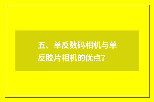 五、单反数码相机与单反胶片相机的优点？