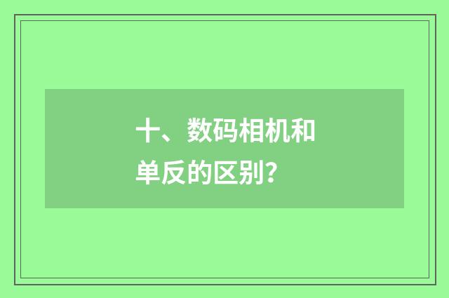 十、数码相机和单反的区别？