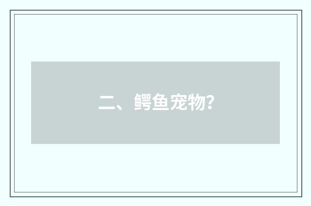 二、鳄鱼宠物?