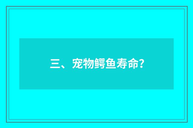 三、宠物鳄鱼寿命？