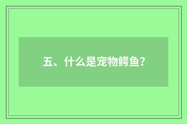 五、什么是宠物鳄鱼？