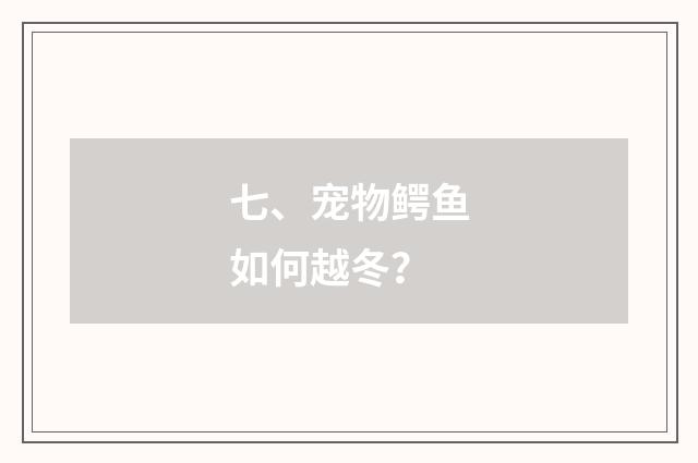 七、宠物鳄鱼如何越冬？