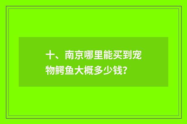 十、南京哪里能买到宠物鳄鱼大概多少钱?