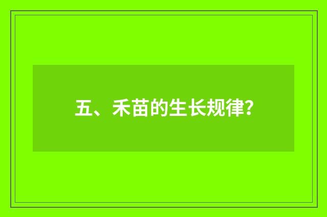 五、禾苗的生长规律？