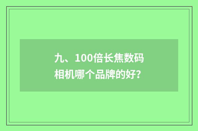 九、100倍长焦数码相机哪个品牌的好?