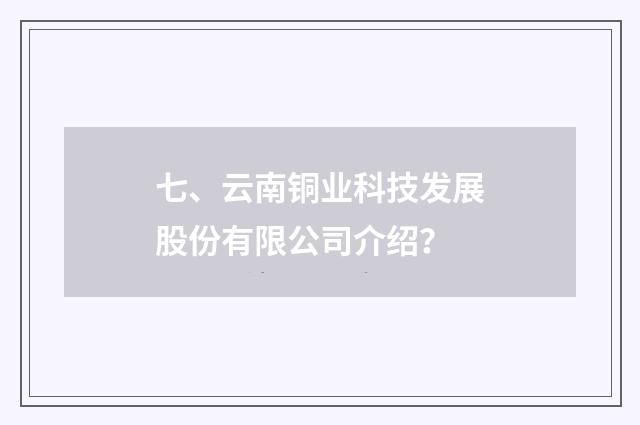 七、云南铜业科技发展股份有限公司介绍？