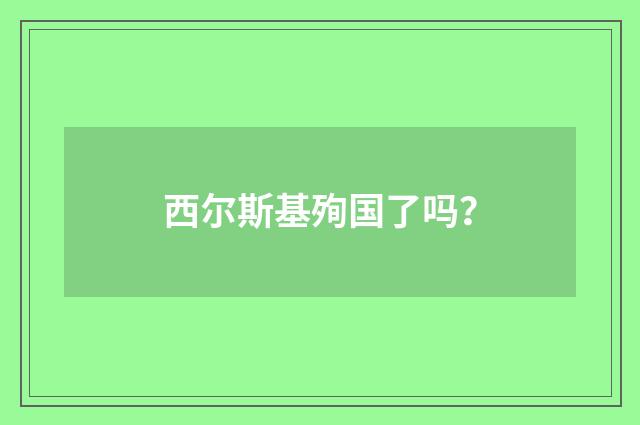 西尔斯基殉国了吗？